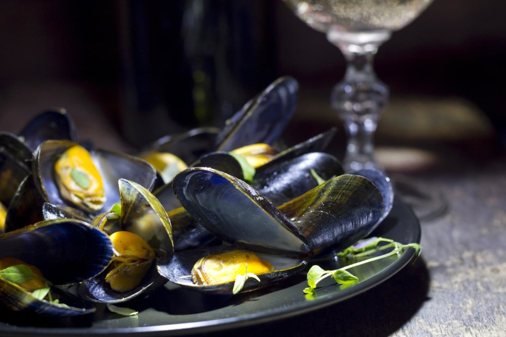 oysters mussels
