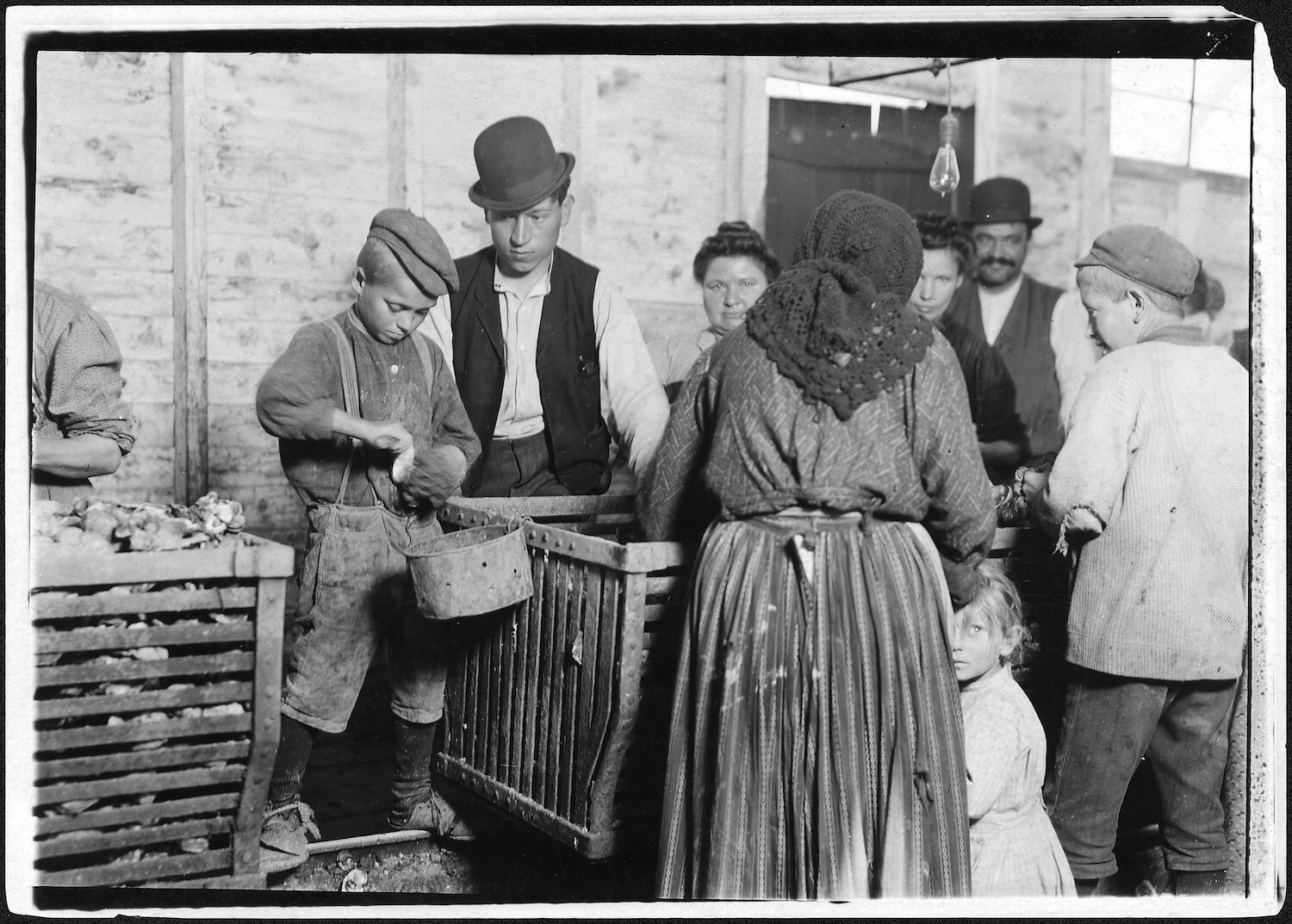 oysters for the poor