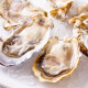 scottish oysters