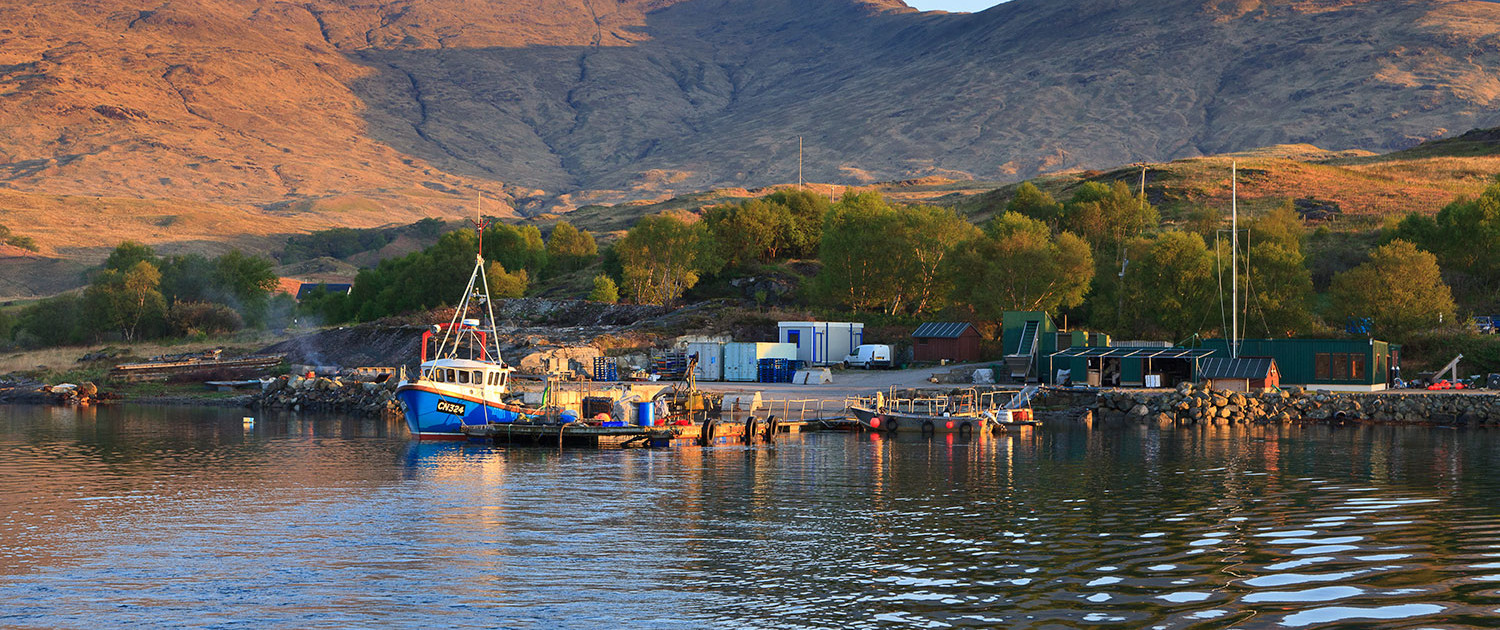 short history of Scottish mussels