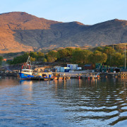 short history of Scottish mussels