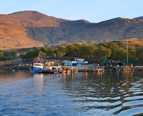 short history of Scottish mussels