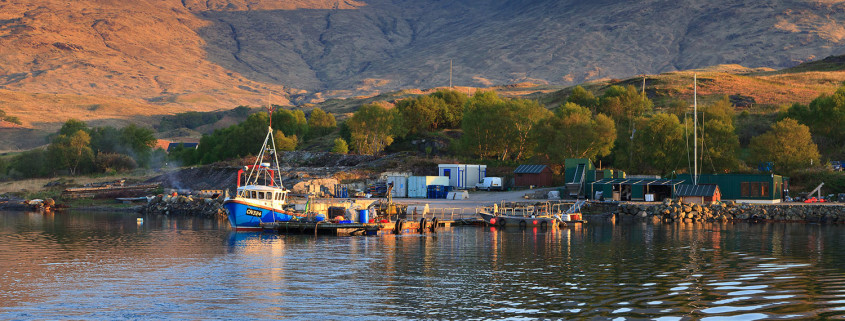 short history of Scottish mussels