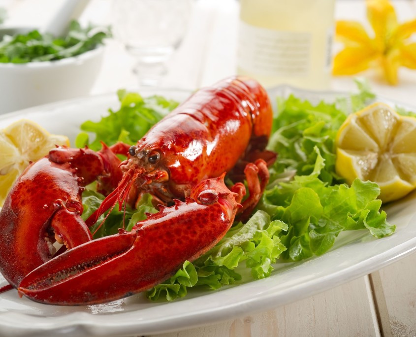 lobster-large