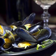 oysters mussels