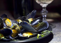 oysters mussels