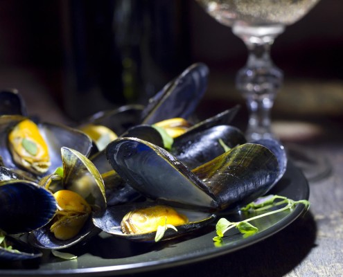 oysters mussels