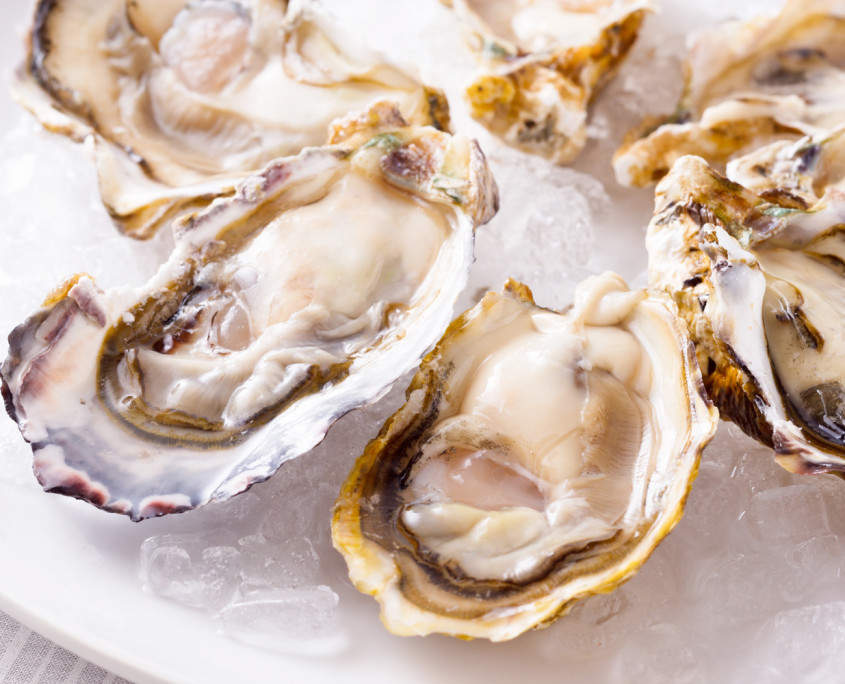 oysters-large