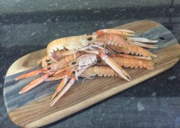 langoustines