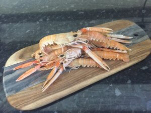 langoustines