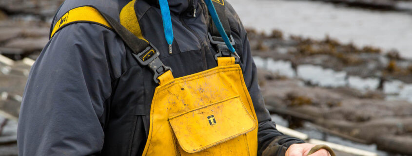 Gordon Turnbull Oyster Farmer