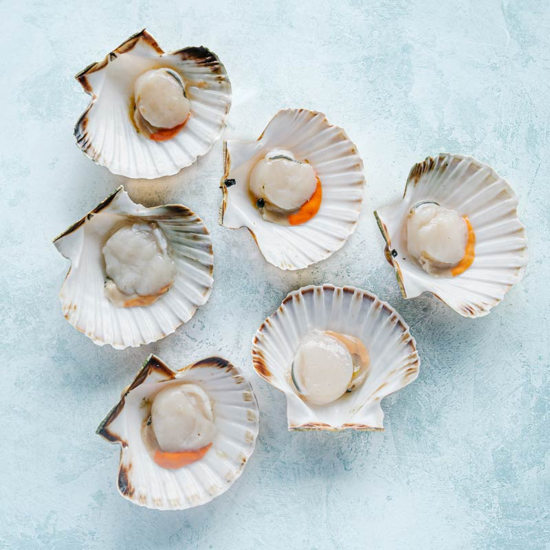 Why choose Scottish scallops